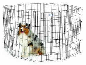 MidWest Zagroda dla psów 61x107cm