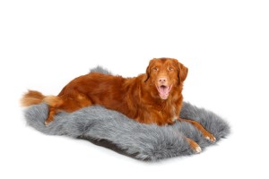 HUNNY Legowisko dla psa ALASKA - srebrne