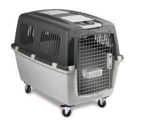STEFANPLAST Transporter dla zwierząt Gulliver IATA