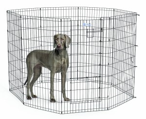 MidWest Zagroda dla psów 61x122cm