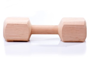 Dingo Aport drewniany dla psa 650g