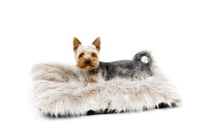 HUNNY Legowisko dla psa ALASKA - beżowe