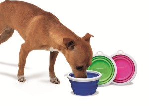 Bamboo Miska podróżna dla psa - mała - 250 ml