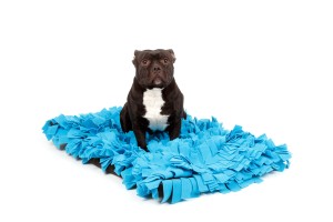 HUNNY Legowisko dla psa MOFI - błękitne