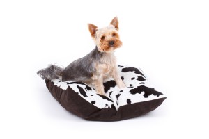 HUNNY Legowisko dla psa NITTY - dalmatyńczyk