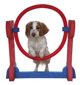 Small Dog Agility Hoop - obręcz do skakania dla małych i średnich psów