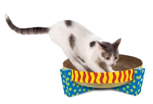 PETSTAGES Scratch Snuggle & Rest - Eko leżanka drapak dla kota