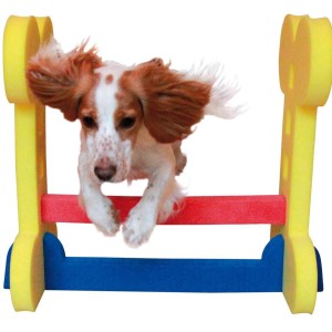 Small Dog Agility Hurdle - przeszkoda pozioma dla małych i średnich psów