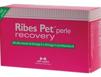 RIBES PET RECOVERY BLISTER 60 PERLE