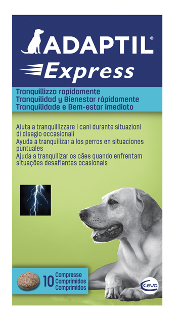 ADAPTIL EXPRESS 10 COMPRESSE