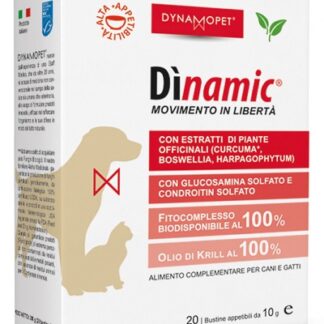DINAMIC 20 BUSTINE 10 G