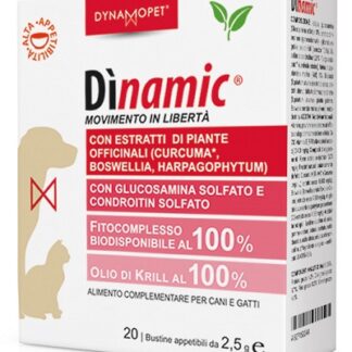 DINAMIC 20 BUSTINE 2,5 G