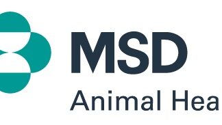 CANINSULIN VET PEN AGHI UNIFINE 1X100