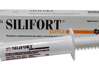 SILIFORT PASTA OS SIRINGA 15 G