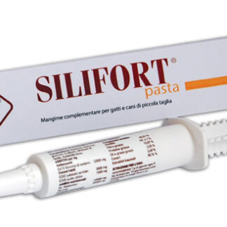 SILIFORT PASTA OS SIRINGA 30 G