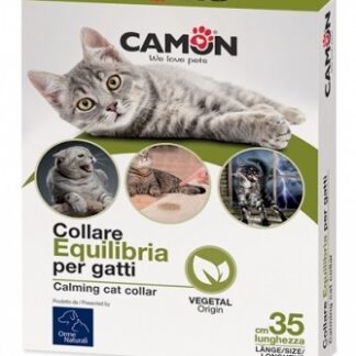 COLLARE AEQUILIBRIA GATTI 1 PEZZO