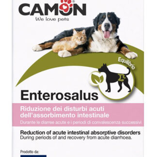 ENTEROSALUS 20 BUSTINE 2,5 G