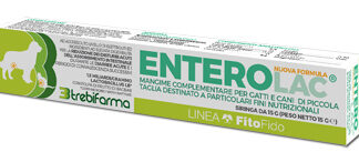 ENTEROLAC PASTA SIRINGA 15 G