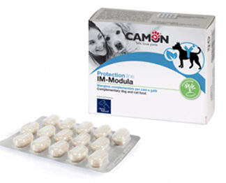 IMMODULA 60 COMPRESSE