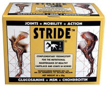 TRM Stride