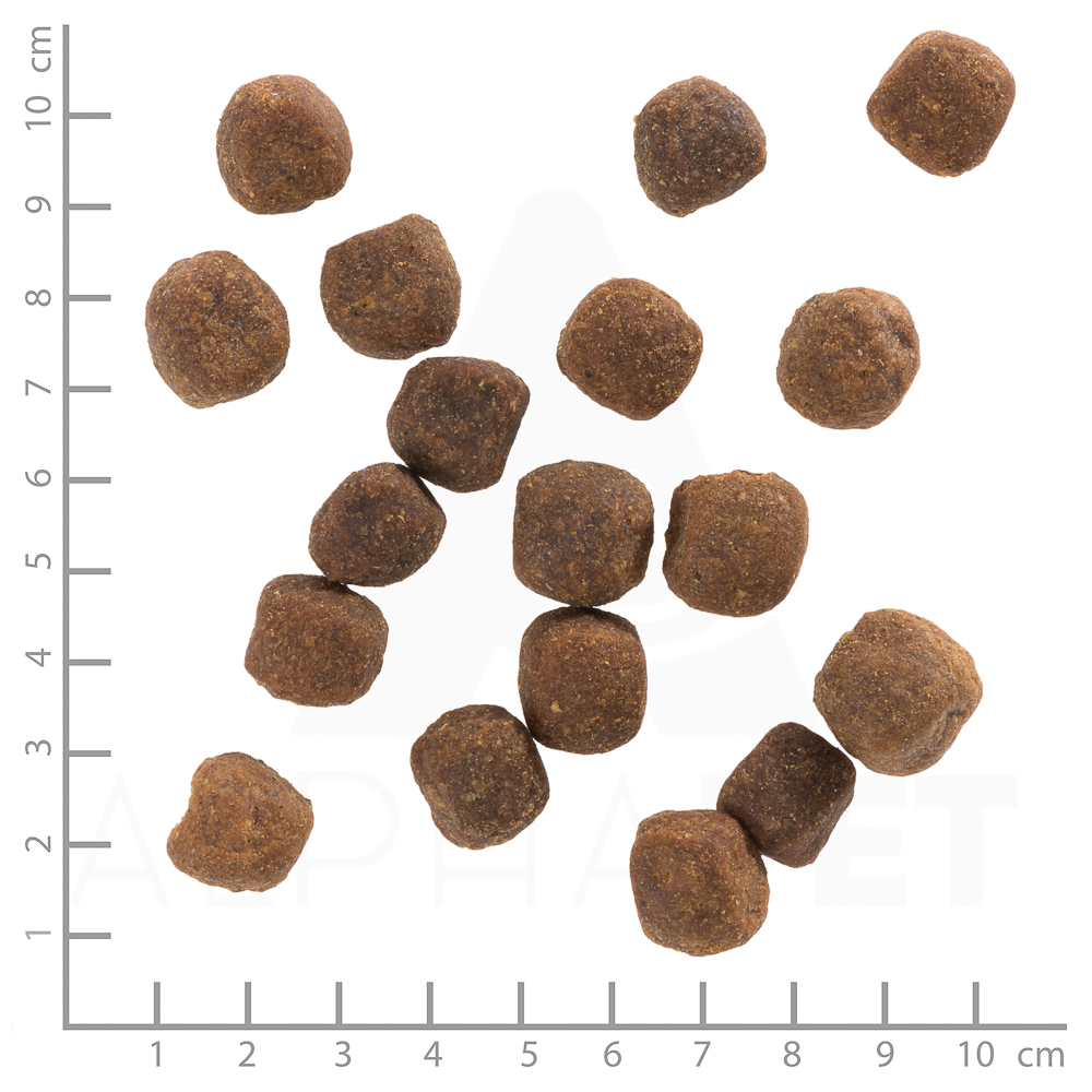 Wolfsblut Adult Wild Duck - Ente und Kartoffel 2 x 12,5 kg — изображение 3