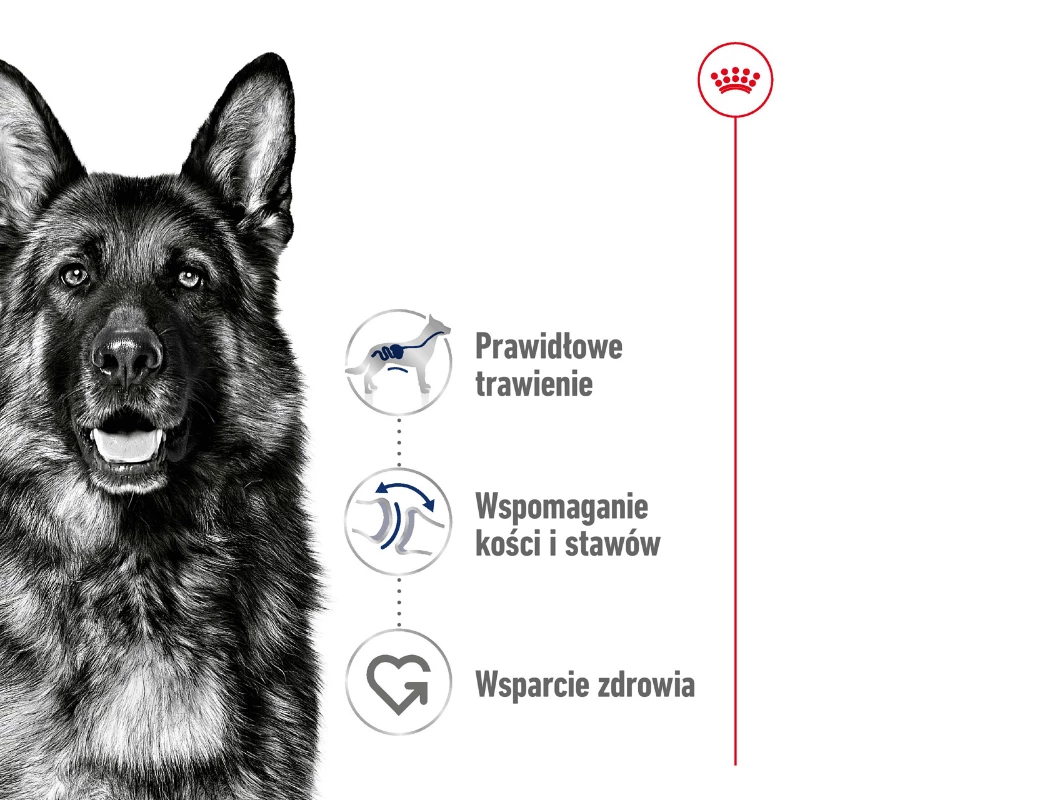 ROYAL CANIN SHN Maxi Adult 15 kg — изображение 8
