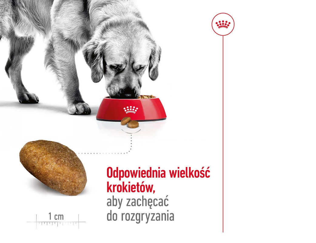 ROYAL CANIN SHN Maxi Adult 15 kg — изображение 6