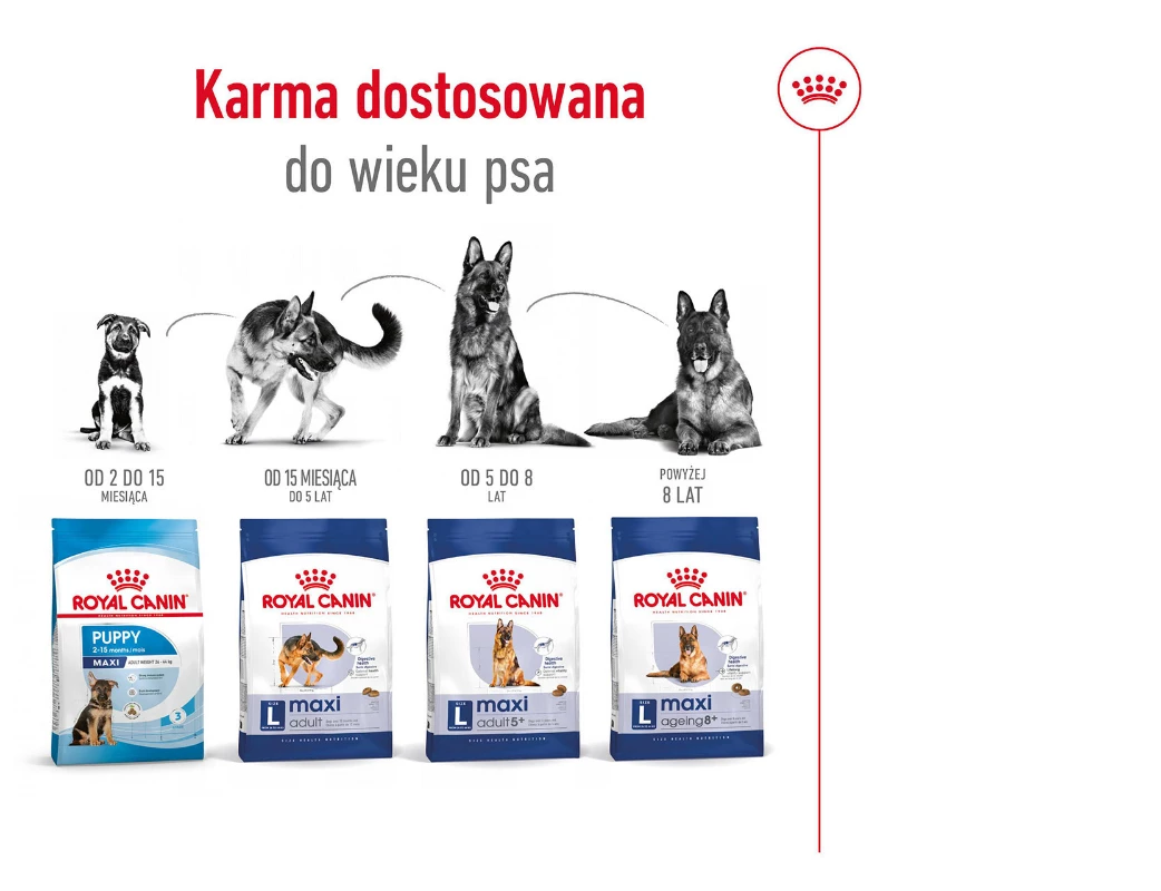 ROYAL CANIN SHN Maxi Adult 15 kg — изображение 5
