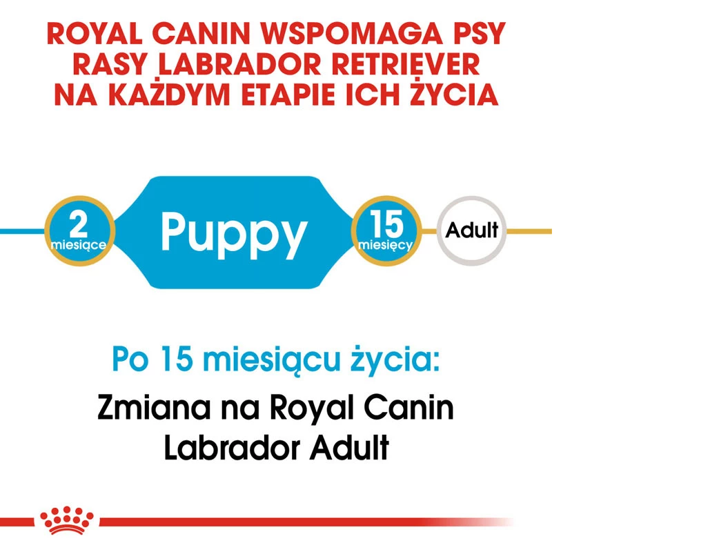 ROYAL CANIN Labrador Retriever Puppy 12 kg — изображение 7