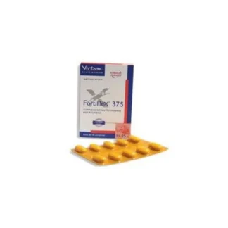 FORTIFLEX 375 COMPRIMES 30 NF
