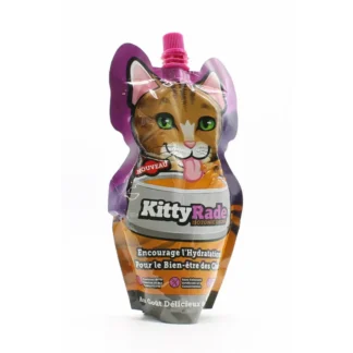 Kitty Rade Isotonic Drink 250ml