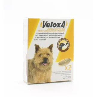 Veloxa Comprimés à Croquer pour Chiens X2