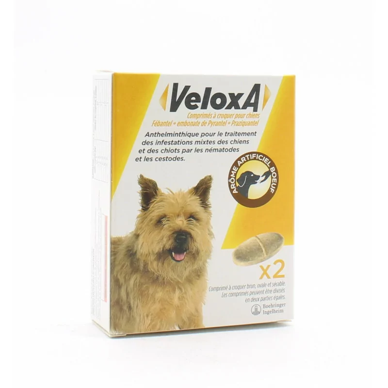 Veloxa Comprimés à Croquer pour Chiens X2