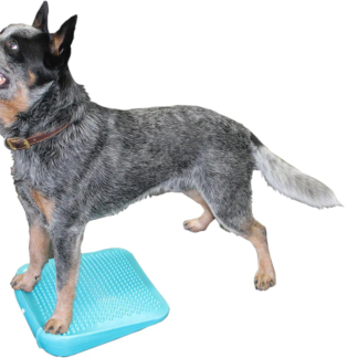 FitPaws Balance Ramp