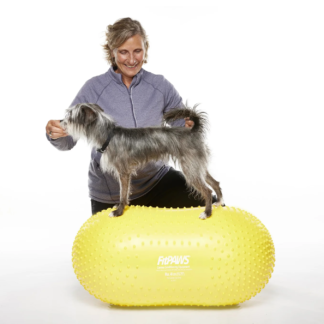 FitPaws Trax Peanut Dog Training Platform Sizes 40CM
