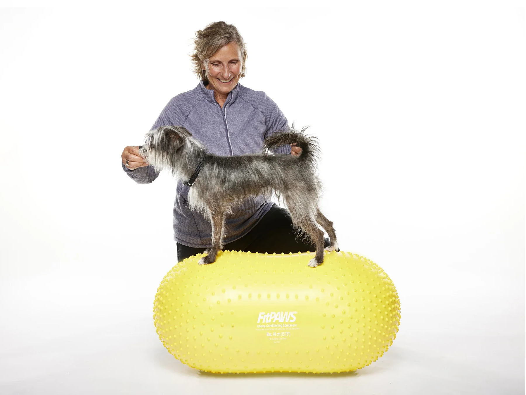 FitPaws Trax Peanut Dog Training Platform Sizes 40CM