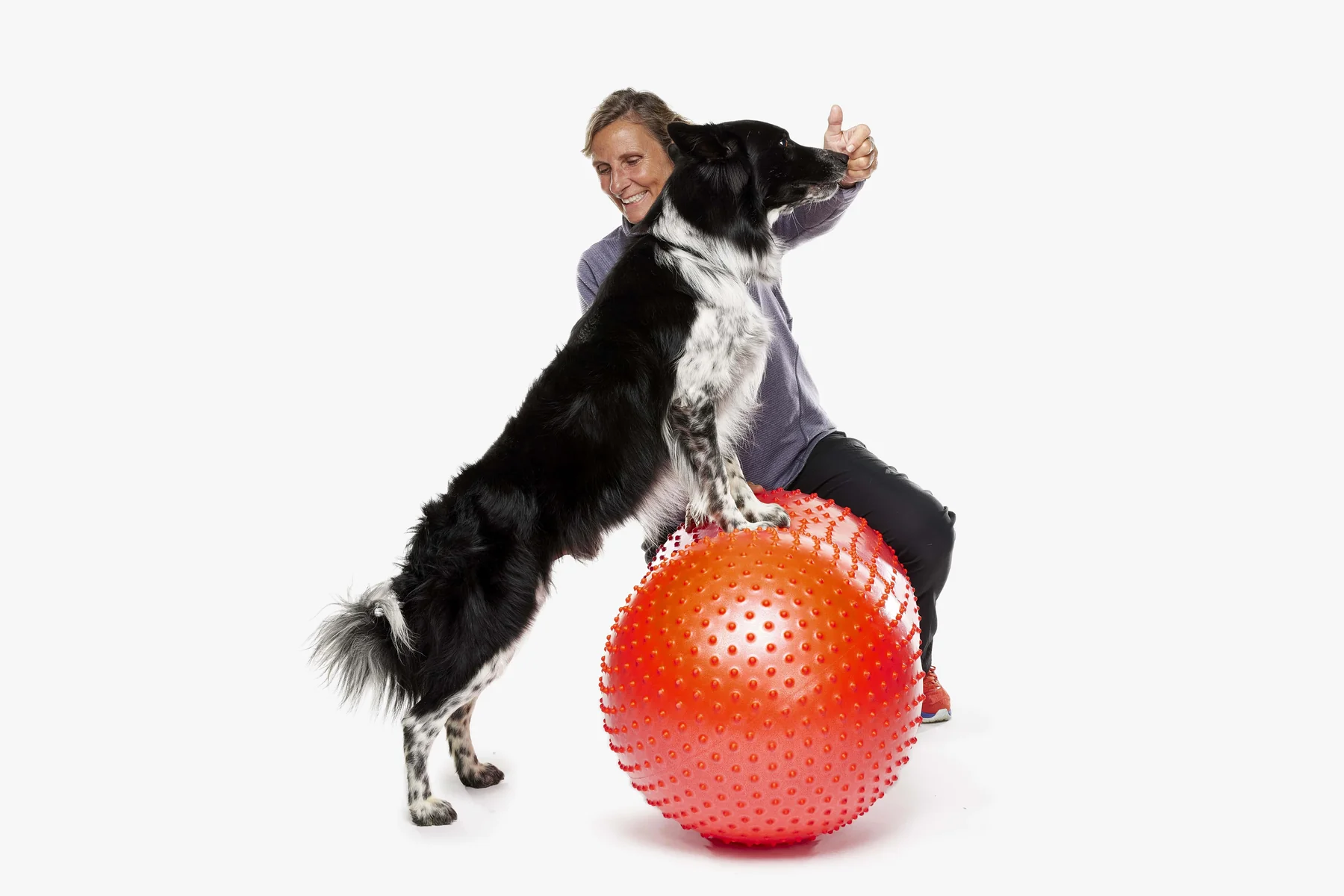 FitPaws Trax Peanut Dog Training Platform Sizes 50CM