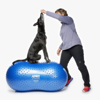 FitPaws Trax Peanut Dog Training Platform Sizes 60CM