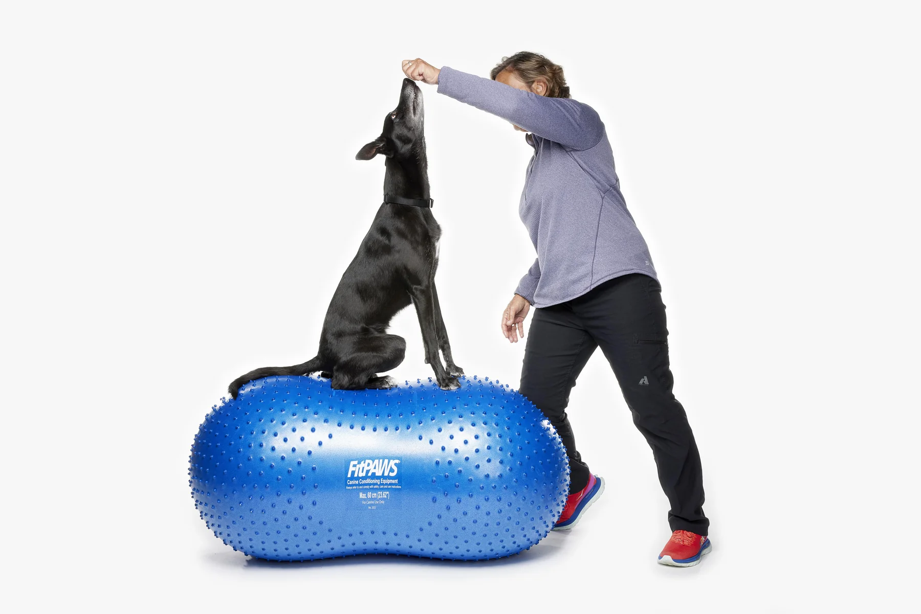 FitPaws Trax Peanut Dog Training Platform Sizes 60CM