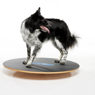 FitPaws Wobble Board, Dog Balance Training Platform 20"