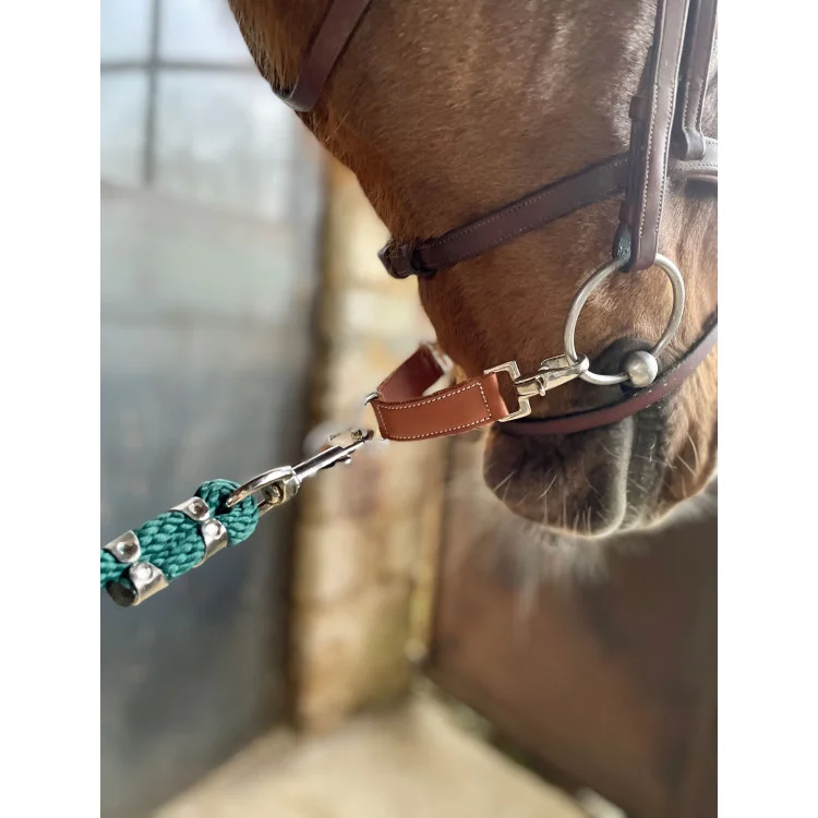 Alliance De Mors Penelope "Alliance"