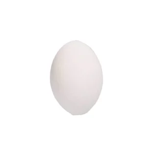 Bouchon D'oreilles Finntack Pro