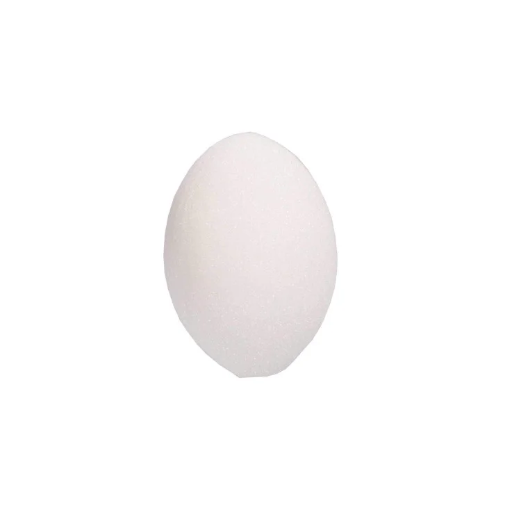 Bouchon D'oreilles Finntack Pro