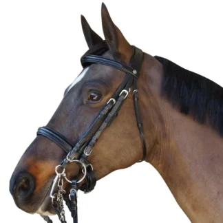 Bride Canter Pull Back Euro