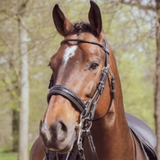 Bride Jump'In One Courchevel