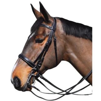 Bride Lexington Michigan