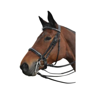 Bride Privilège Equitation Monaco