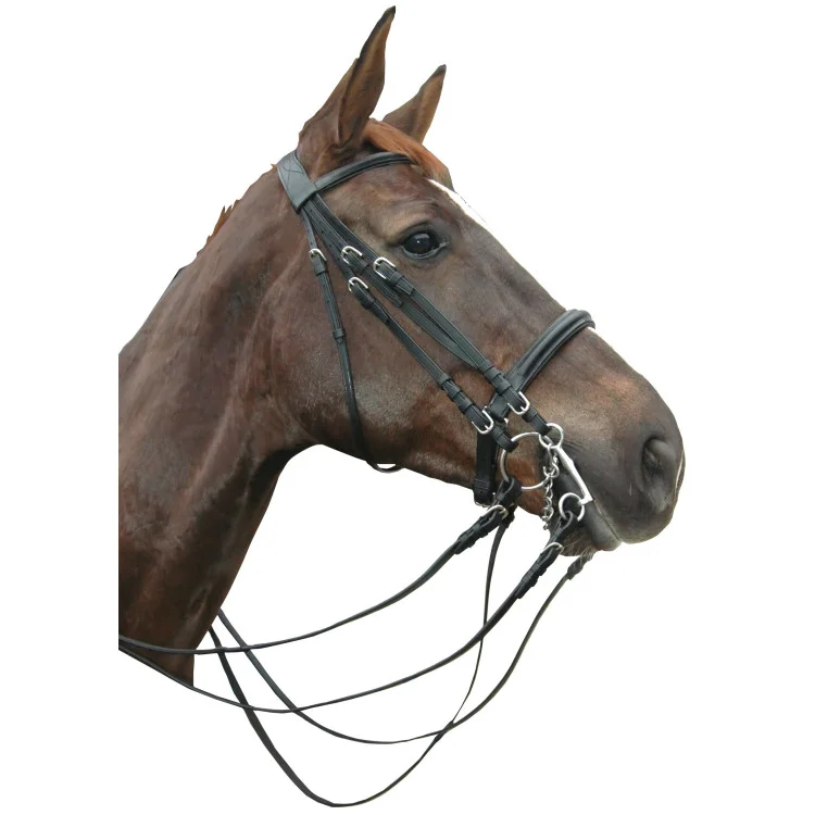 Bride Privilège Equitation Montigny