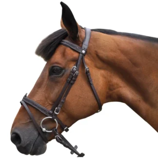 Bridon Canter Black Strass