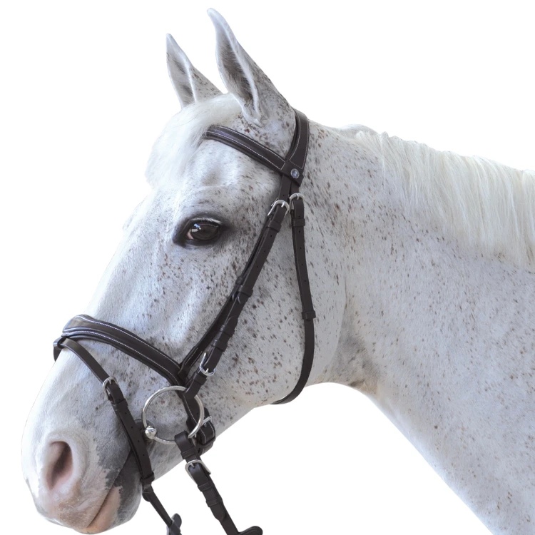 Bridon Canter Ornella